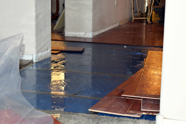 Professional Burst Pipe Cleanup technician working in Efland, NC